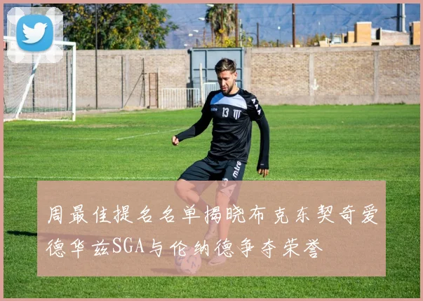 周最佳提名名单揭晓布克东契奇爱德华兹SGA与伦纳德争夺荣誉
