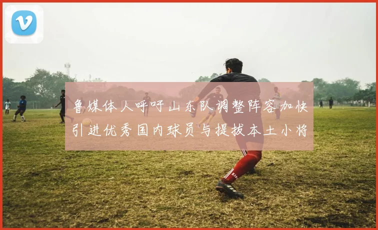 鲁媒体人呼吁山东队调整阵容加快引进优秀国内球员与提拔本土小将